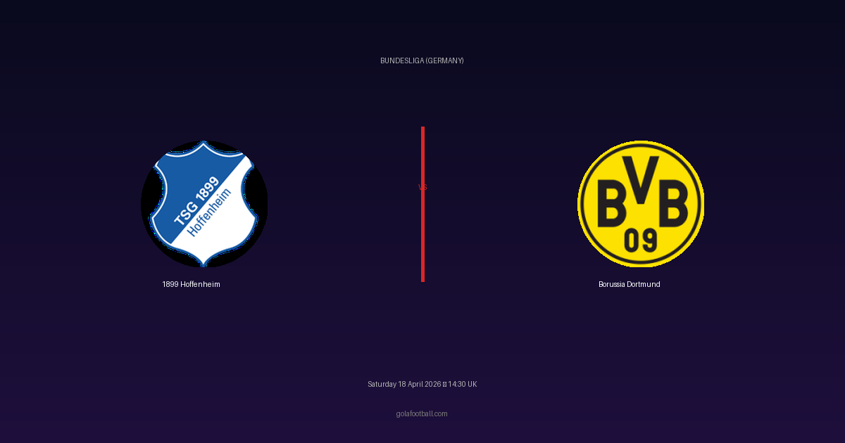 Match Preview: 1899 Hoffenheim vs Borussia Dortmund - prediction, team news, live stream